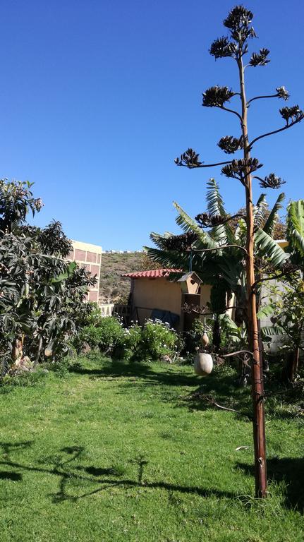 Villa Canaria Piscina Jacuzzi Jardin Santa Maria de Guia de Gran Canaria Dış mekan fotoğraf