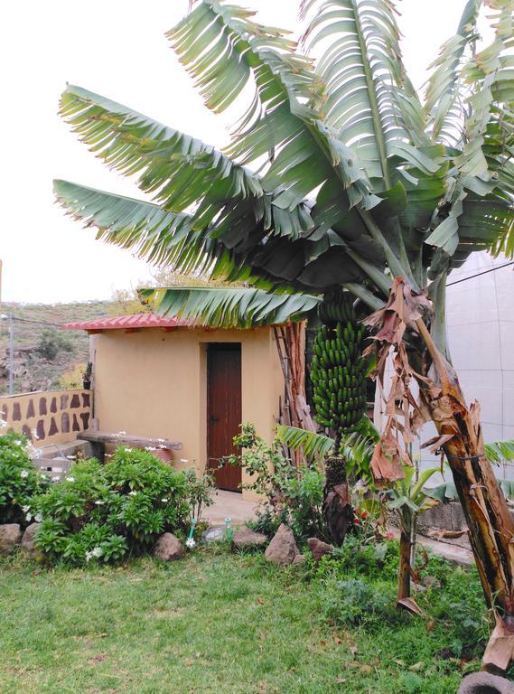 Villa Canaria Piscina Jacuzzi Jardin Santa Maria de Guia de Gran Canaria Dış mekan fotoğraf