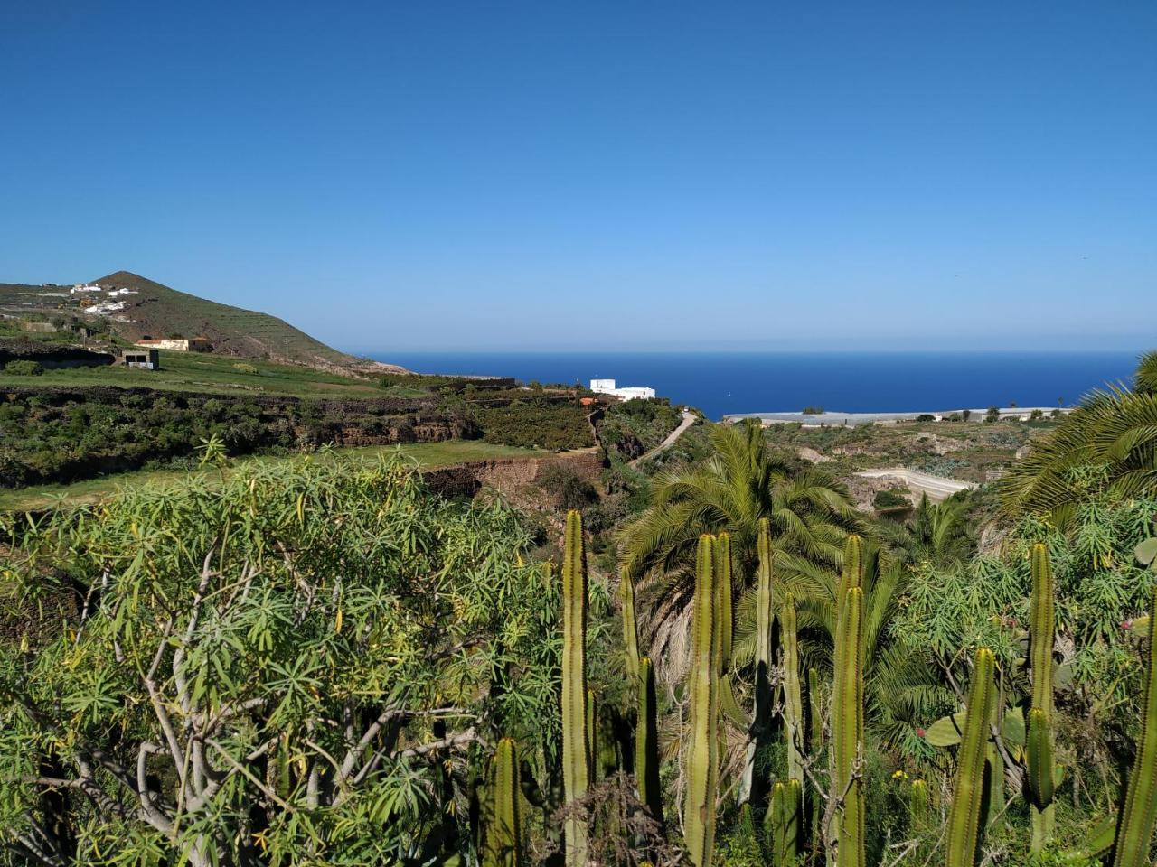 Villa Canaria Piscina Jacuzzi Jardin Santa Maria de Guia de Gran Canaria Dış mekan fotoğraf