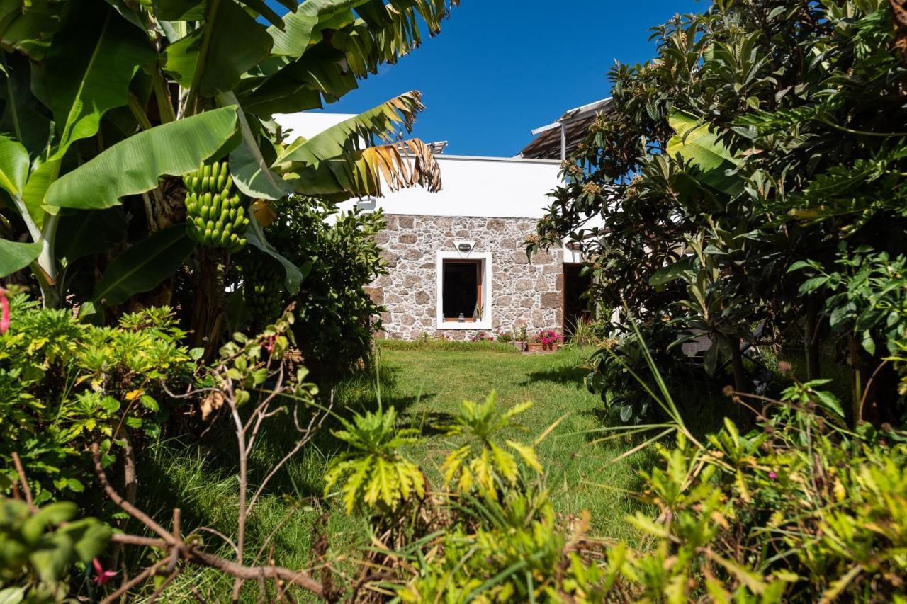 Villa Canaria Piscina Jacuzzi Jardin Santa Maria de Guia de Gran Canaria Dış mekan fotoğraf